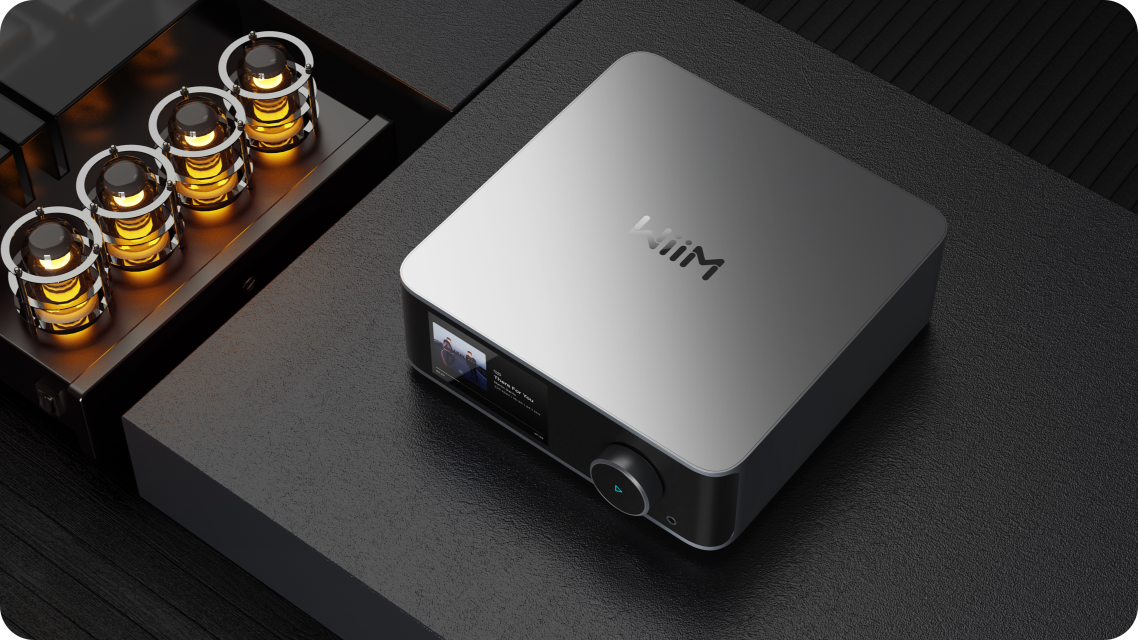 その他 wiim pro WiiM - WiiM Pro plus