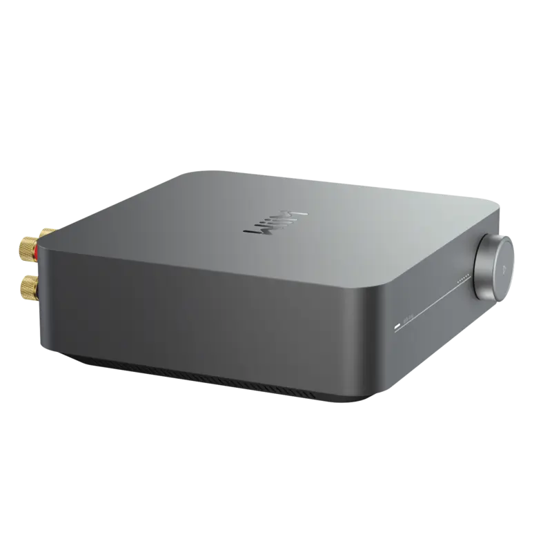 セ*タ様 WiiM Pro Plus WiiM WiiM Pro Plus コンパクトオーディオストリーマー | WiiM